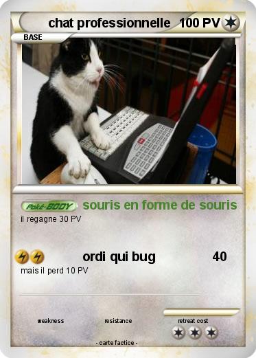 Pokemon chat professionnelle