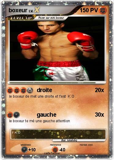 Pokemon boxeur