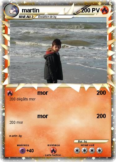 Pokemon martin