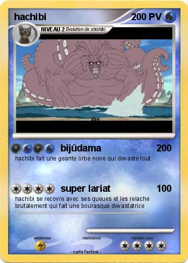 Pokemon hachibi