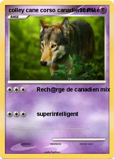 Pokemon colley cane corso canadien croisé