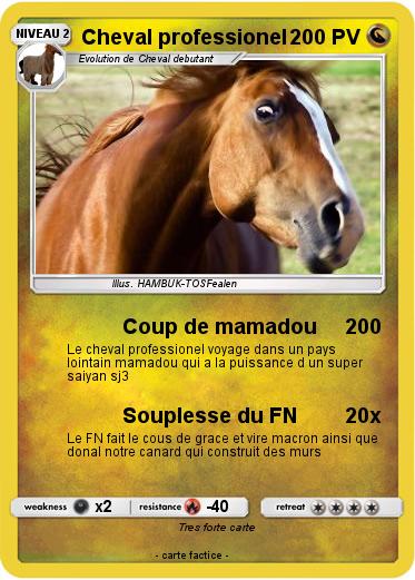 Pokemon Cheval professionel