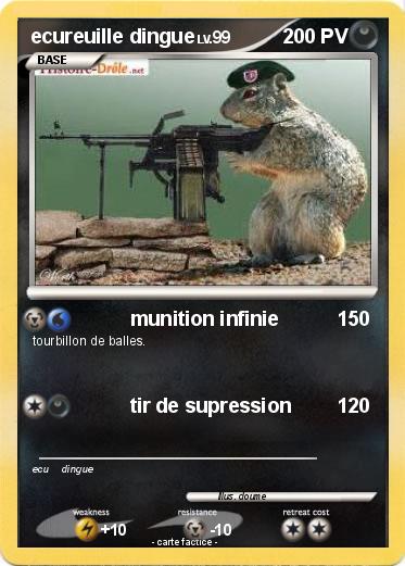 Pokemon ecureuille dingue