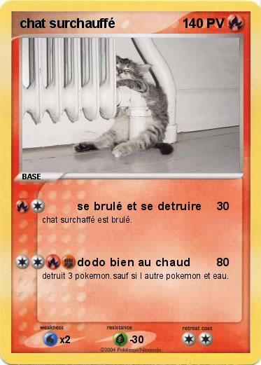 Pokemon chat surchauffé