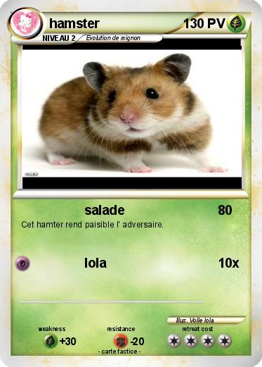 Pokemon hamster