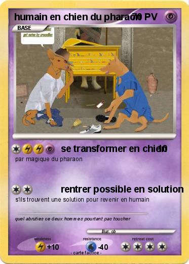 Pokemon humain en chien du pharaon