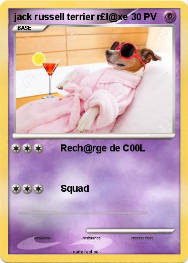 Pokemon jack russell terrier r£l@xe