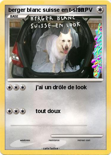 Pokemon berger blanc suisse en t-shirt