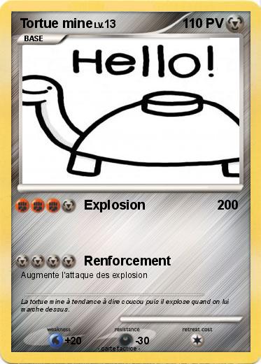 Pokemon Tortue mine