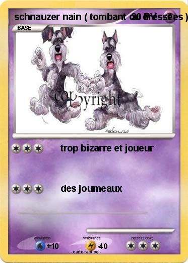 Pokemon schnauzer nain ( tombant ou drèssées )