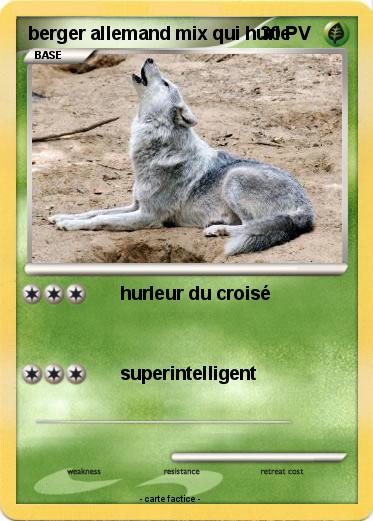 Pokemon berger allemand mix qui hurle
