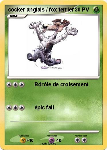 Pokemon cocker anglais / fox terrier