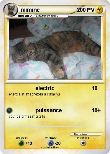 Pokemon mimine