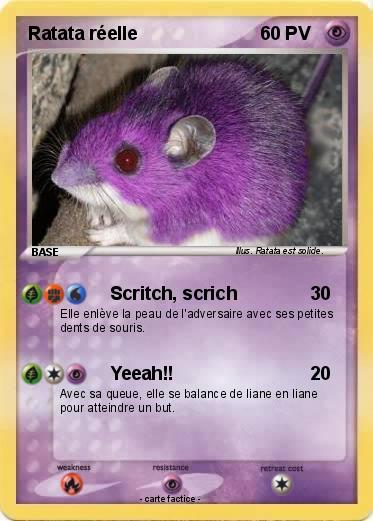 Pokemon Ratata réelle