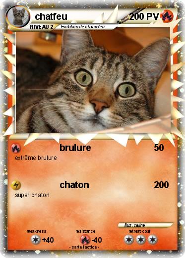 Pokemon chatfeu