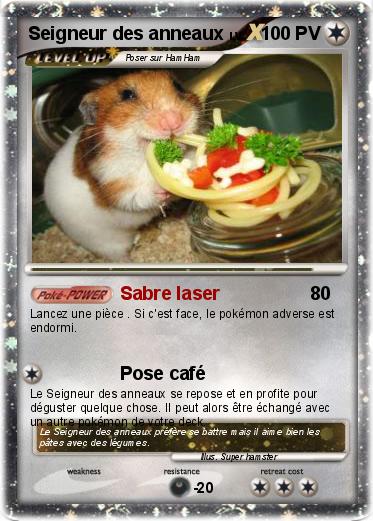 Pokemon Seigneur des anneaux