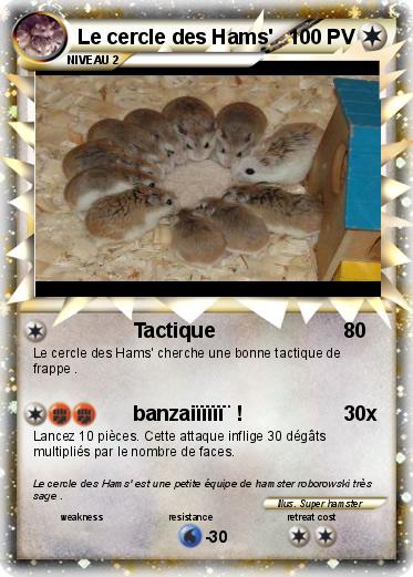 Pokemon Le cercle des Hams'