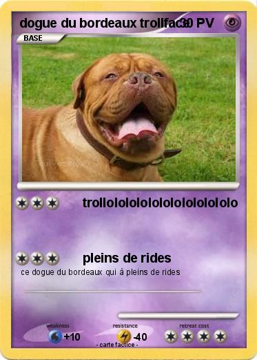 Pokemon dogue du bordeaux trollface