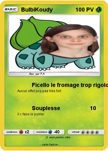 Pokemon BulbiKoudy