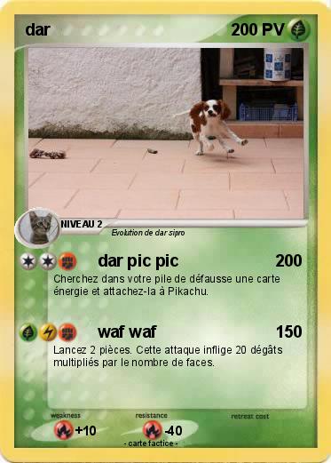 Pokemon dar