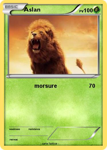 Pokemon Aslan