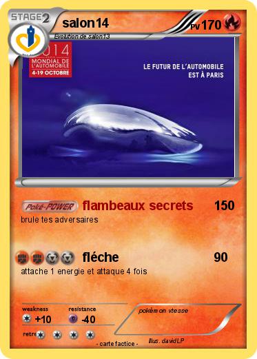 Pokemon salon14