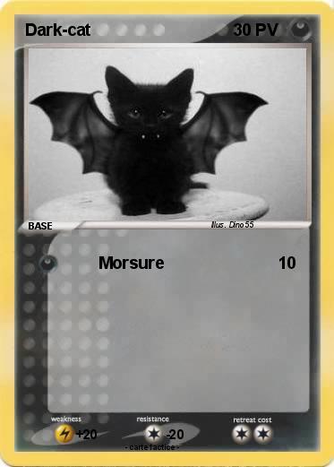 Pokemon Dark-cat