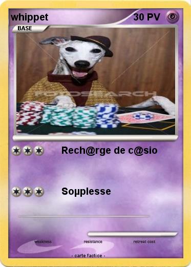 Pokemon whippet