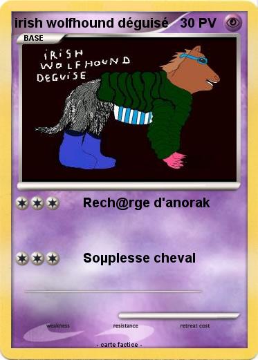 Pokemon irish wolfhound déguisé