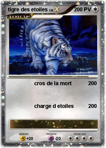 Pokemon tigre des etoiles