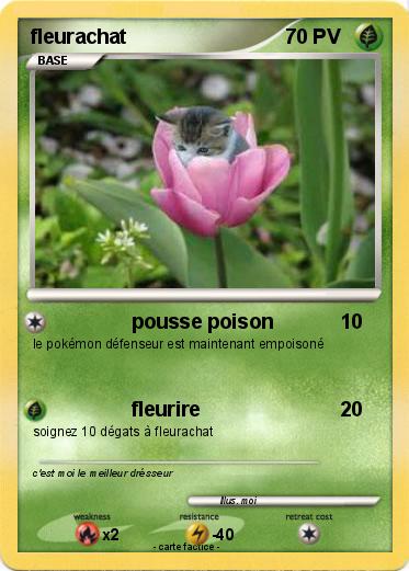Pokemon fleurachat