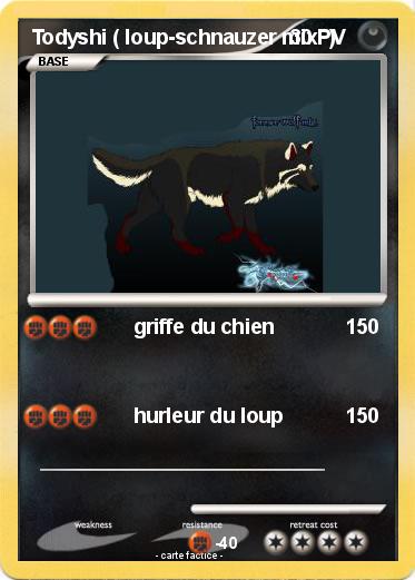 Pokemon Todyshi ( loup-schnauzer mix  )