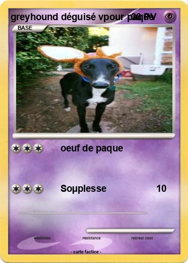 Pokemon greyhound déguisé vpour paque