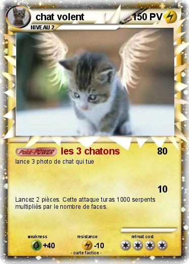 Pokemon chat volent