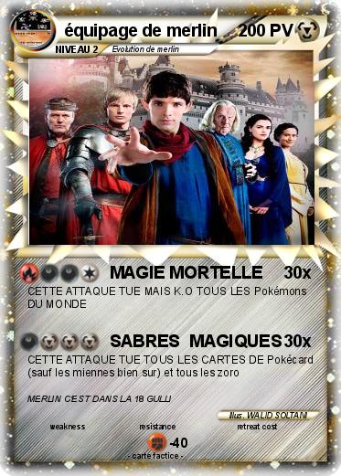 Pokemon équipage de merlin
