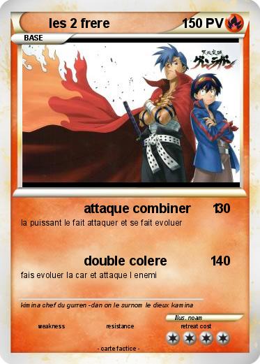 Pokemon les 2 frere