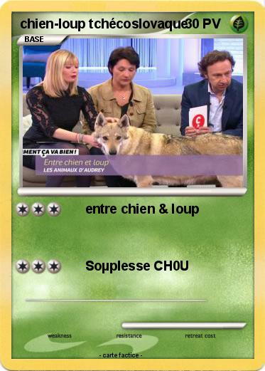 Pokemon chien-loup tchécoslovaque