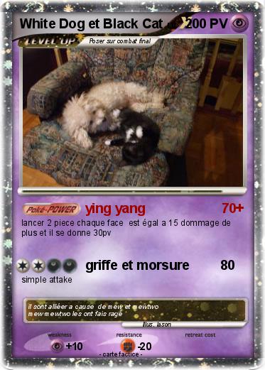 Pokemon White Dog et Black Cat