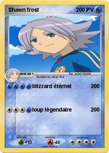 Pokemon Shawn frost