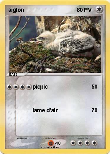 Pokemon aiglon