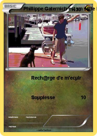 Pokemon Phillippe Gaternich est un s@le batârd celi aime les hommes