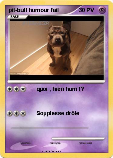 Pokemon pit-bull humour fail
