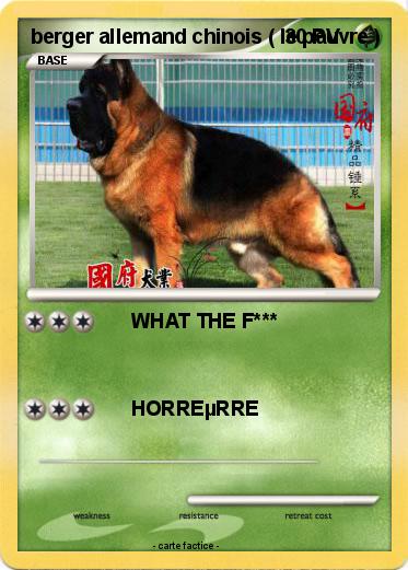 Pokemon berger allemand chinois ( le pauvre )