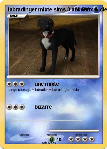 Pokemon labradinger mixte sims 3 animaux & cie