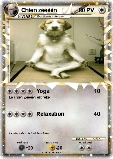 Pokemon Chien zèèèèn