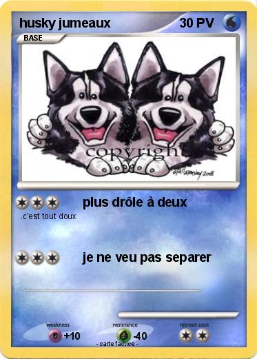 Pokemon husky jumeaux