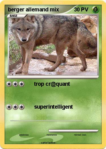 Pokemon berger allemand mix