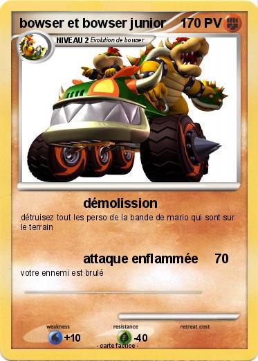 Pokemon bowser et bowser junior