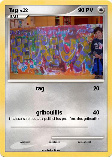 Pokemon Tag