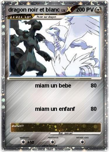 Pokemon dragon noir et blanc